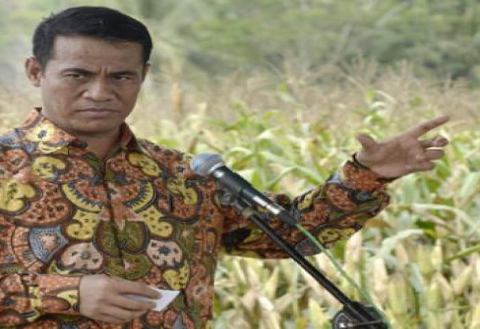 Kementan Targetkan Serap 4 Juta Ton Beras